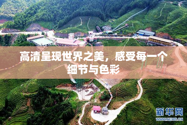 高清呈现世界之美，感受每一个细节与色彩
