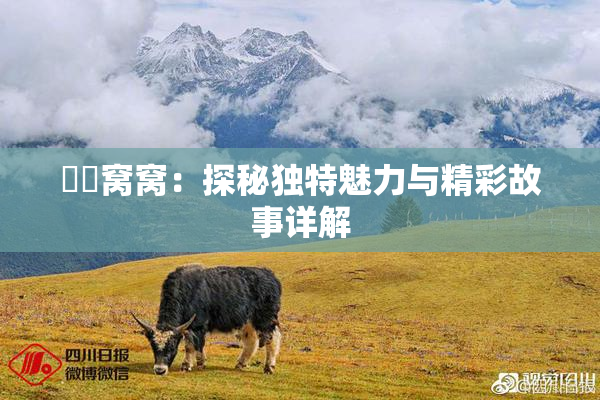 妺妺窝窝：探秘独特魅力与精彩故事详解