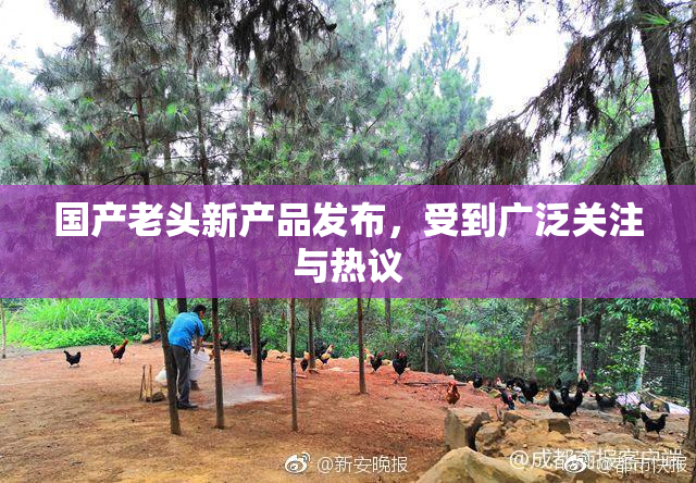 国产老头新产品发布，受到广泛关注与热议