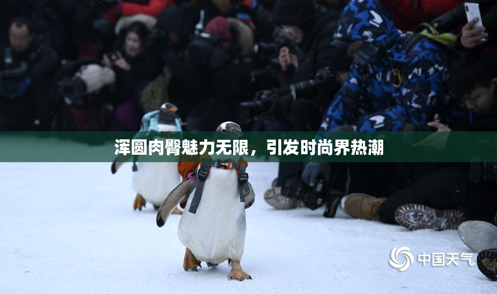 浑圆肉臀魅力无限，引发时尚界热潮