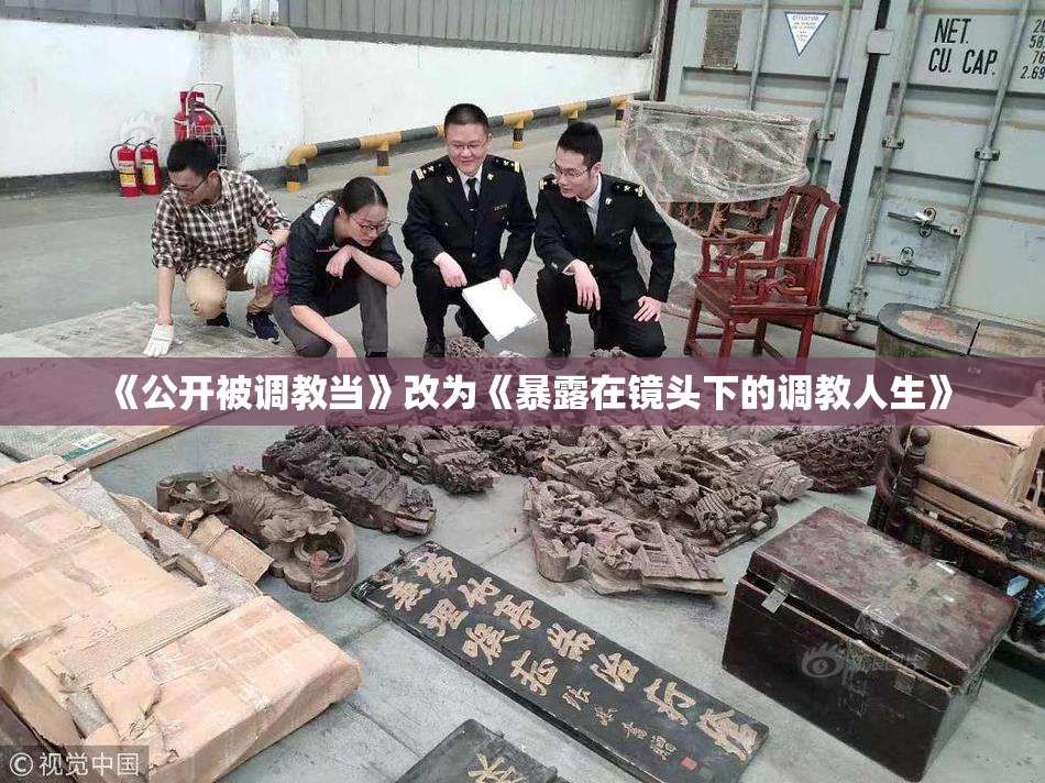 《公开被调教当》改为《暴露在镜头下的调教人生》