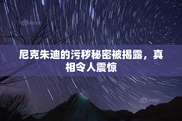 尼克朱迪的污秽秘密被揭露，真相令人震惊