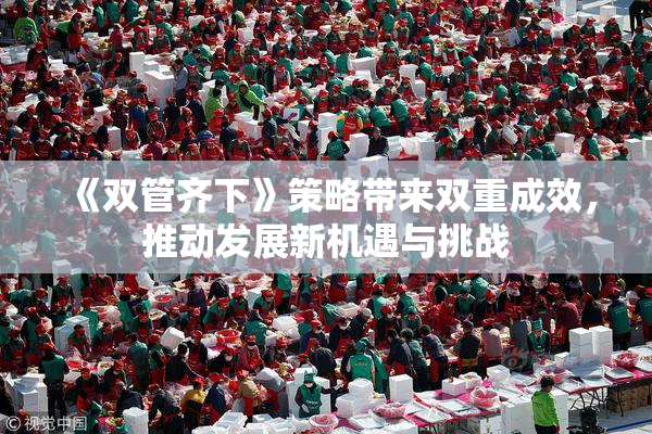 《双管齐下》策略带来双重成效，推动发展新机遇与挑战