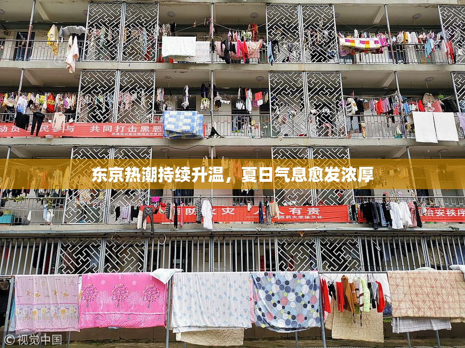 东京热潮持续升温，夏日气息愈发浓厚