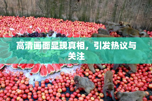 高清画面显现真相，引发热议与关注