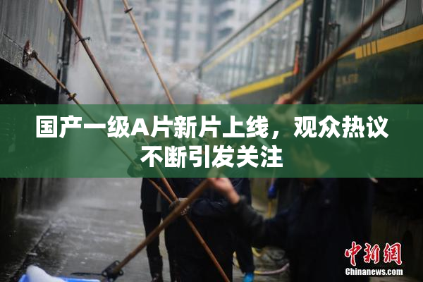 国产一级A片新片上线，观众热议不断引发关注