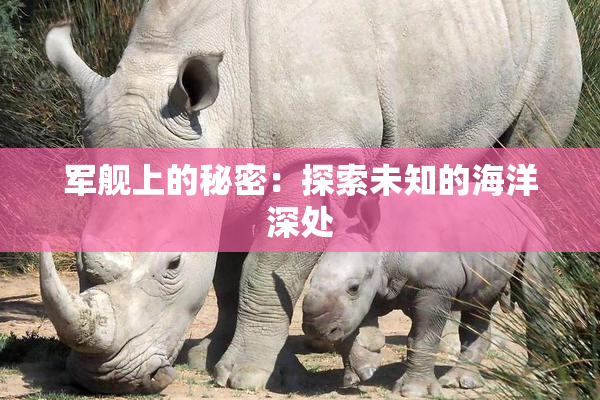 军舰上的秘密：探索未知的海洋深处