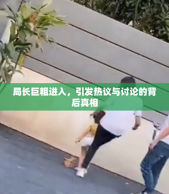 局长巨粗进入，引发热议与讨论的背后真相