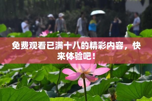 免费观看已满十八的精彩内容，快来体验吧！