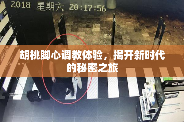 胡桃脚心调教体验，揭开新时代的秘密之旅