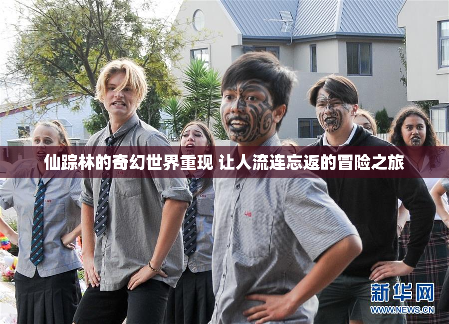 仙踪林的奇幻世界重现 让人流连忘返的冒险之旅