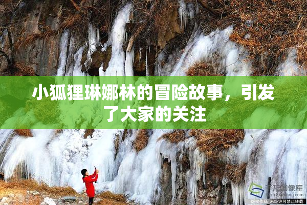 小狐狸琳娜林的冒险故事，引发了大家的关注
