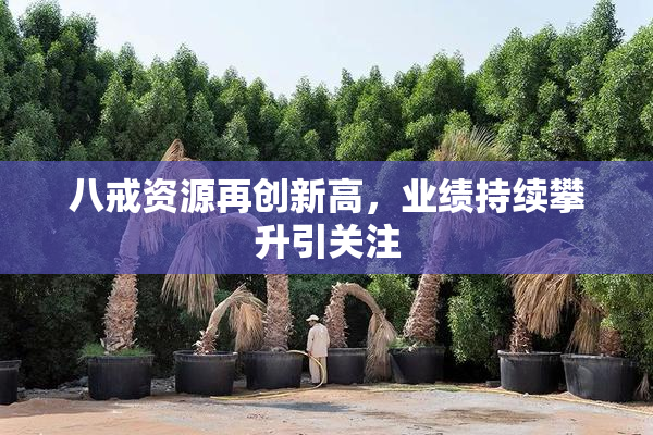 八戒资源再创新高，业绩持续攀升引关注