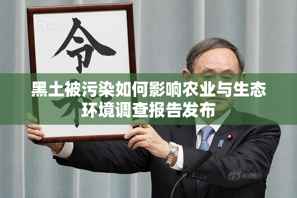黑土被污染如何影响农业与生态环境调查报告发布