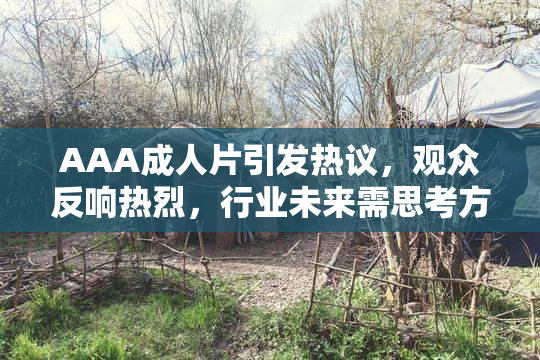 AAA成人片引发热议，观众反响热烈，行业未来需思考方向