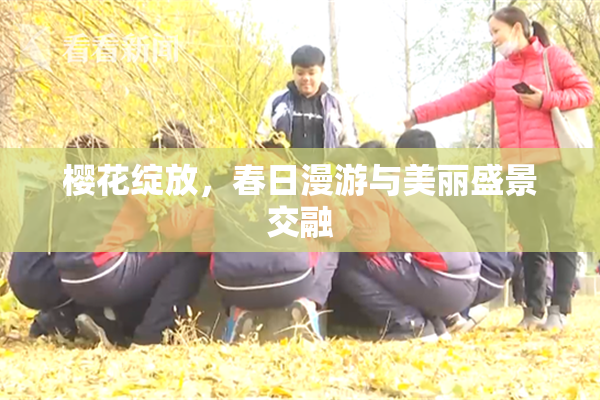 樱花绽放，春日漫游与美丽盛景交融