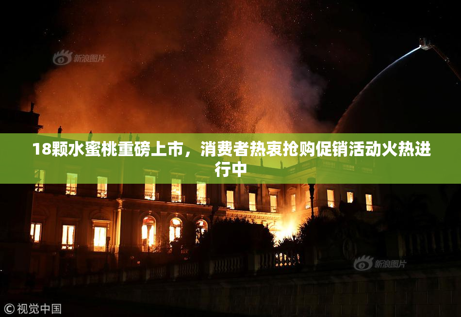 18颗水蜜桃重磅上市，消费者热衷抢购促销活动火热进行中