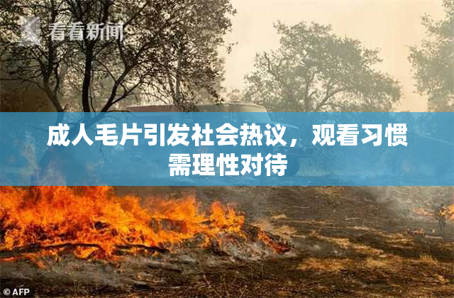 成人毛片引发社会热议，观看习惯需理性对待