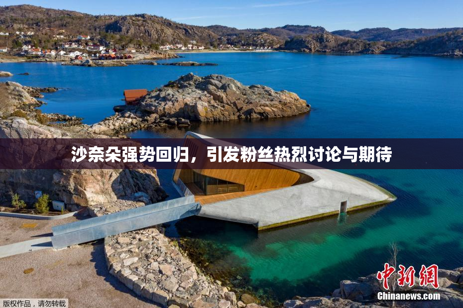 沙奈朵强势回归，引发粉丝热烈讨论与期待