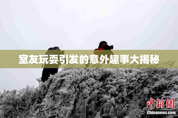 室友玩耍引发的意外趣事大揭秘