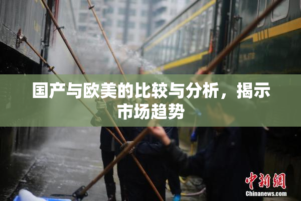 国产与欧美的比较与分析，揭示市场趋势