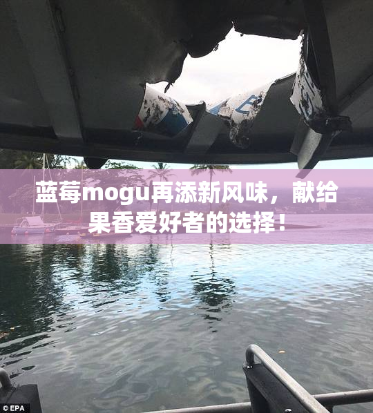 蓝莓mogu再添新风味，献给果香爱好者的选择！