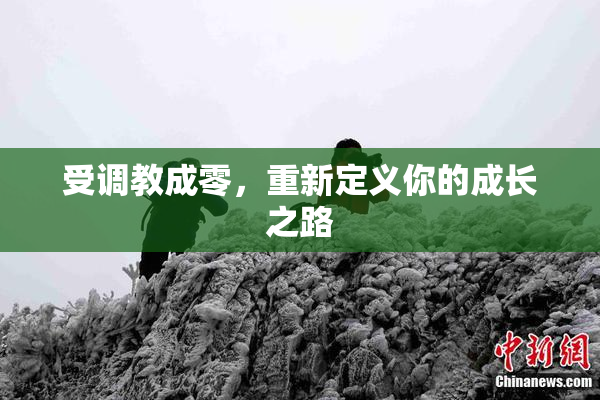 受调教成零，重新定义你的成长之路