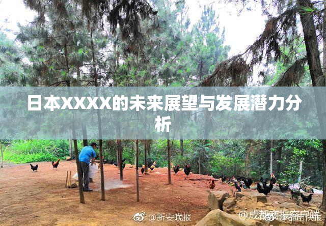 日本XXXX的未来展望与发展潜力分析