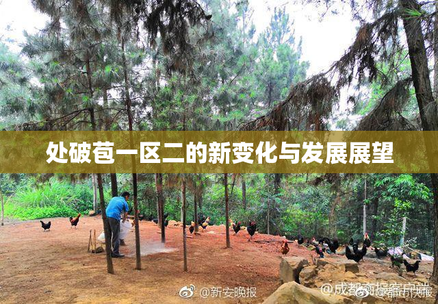 处破苞一区二的新变化与发展展望