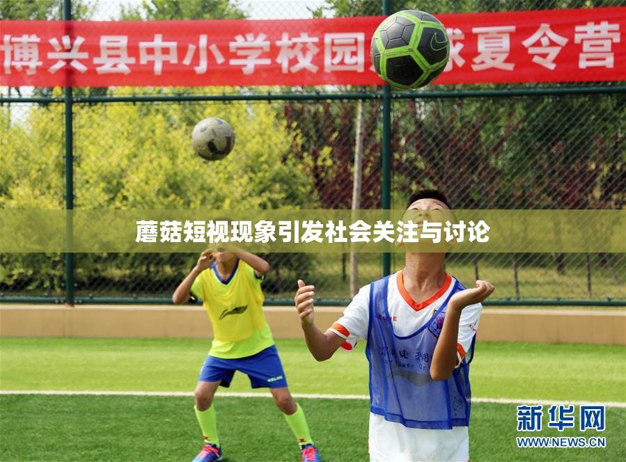 蘑菇短视现象引发社会关注与讨论