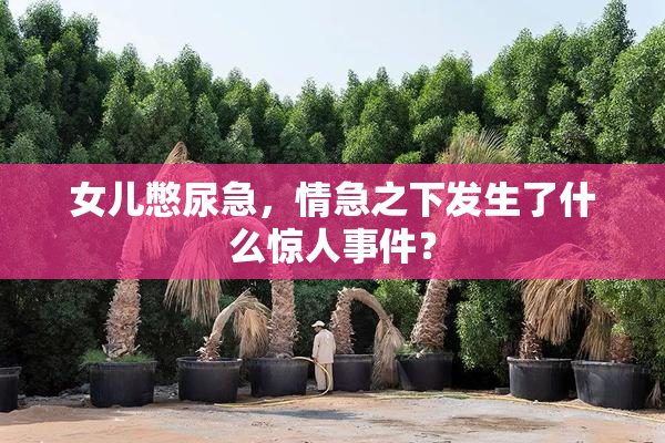 女儿憋尿急，情急之下发生了什么惊人事件？
