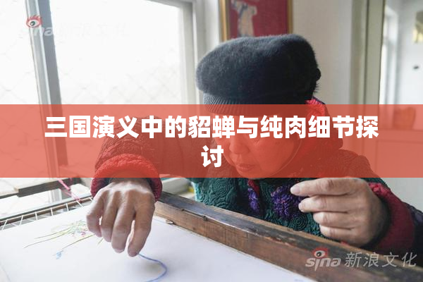 三国演义中的貂蝉与纯肉细节探讨
