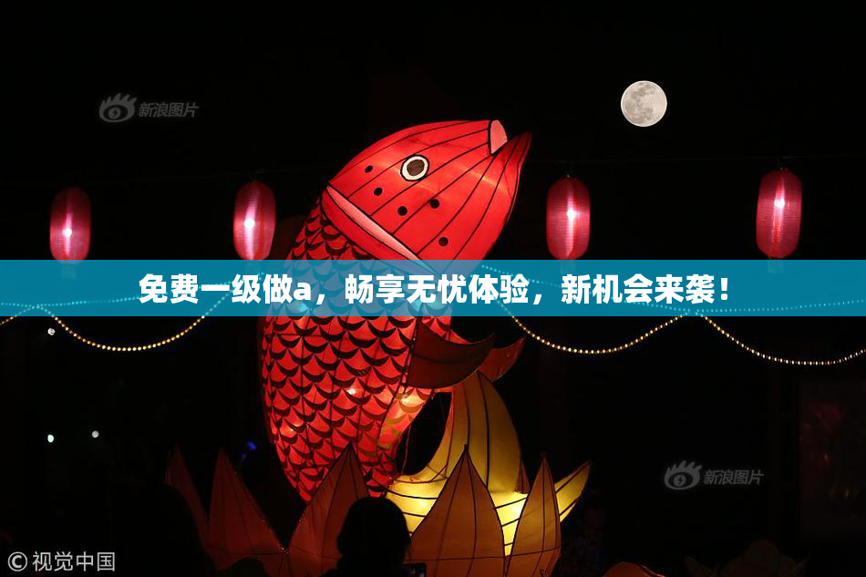 免费一级做a，畅享无忧体验，新机会来袭！