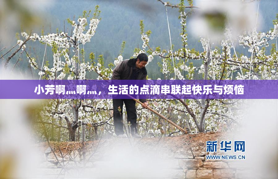小芳啊灬啊灬，生活的点滴串联起快乐与烦恼