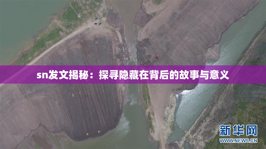 sn发文揭秘：探寻隐藏在背后的故事与意义