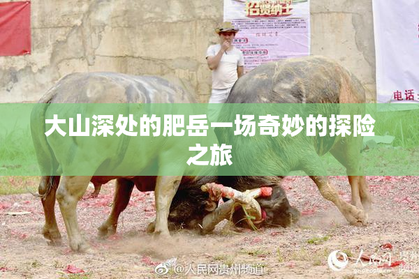 大山深处的肥岳一场奇妙的探险之旅