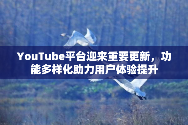 YouTube平台迎来重要更新，功能多样化助力用户体验提升