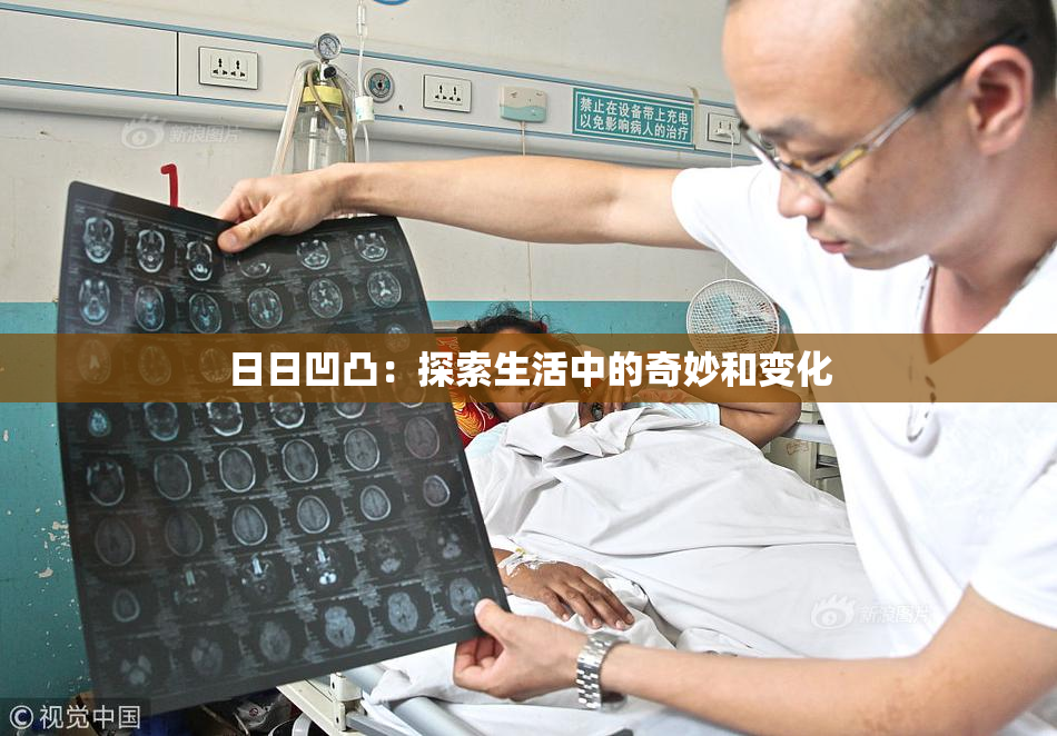 日日凹凸：探索生活中的奇妙和变化