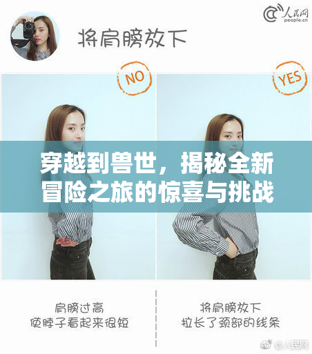 穿越到兽世，揭秘全新冒险之旅的惊喜与挑战