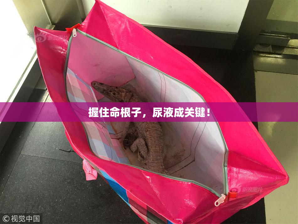 握住命根子，尿液成关键！