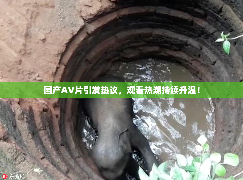 国产AV片引发热议，观看热潮持续升温！