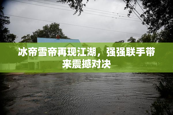 冰帝雪帝再现江湖，强强联手带来震撼对决