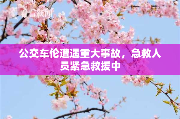 公交车伦遭遇重大事故，急救人员紧急救援中