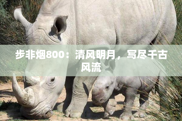 步非烟800：清风明月，写尽千古风流