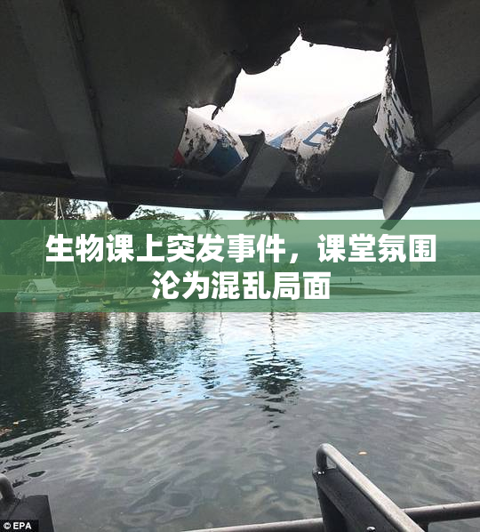 生物课上突发事件，课堂氛围沦为混乱局面