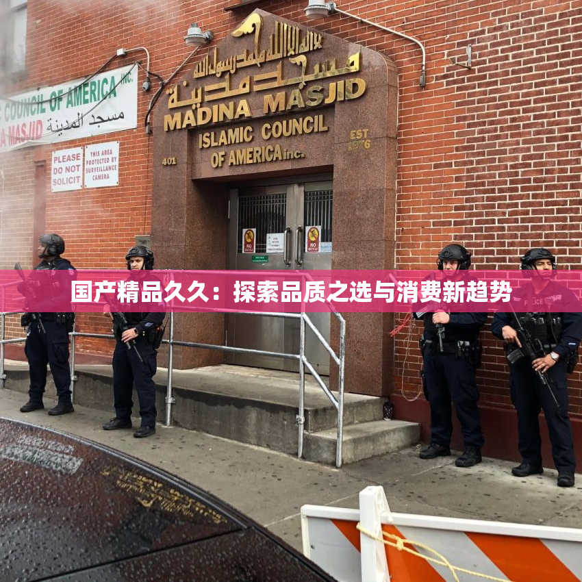 国产精品久久：探索品质之选与消费新趋势