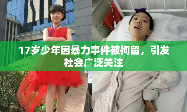 17岁少年因暴力事件被拘留，引发社会广泛关注