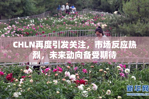 CHLN再度引发关注，市场反应热烈，未来动向备受期待