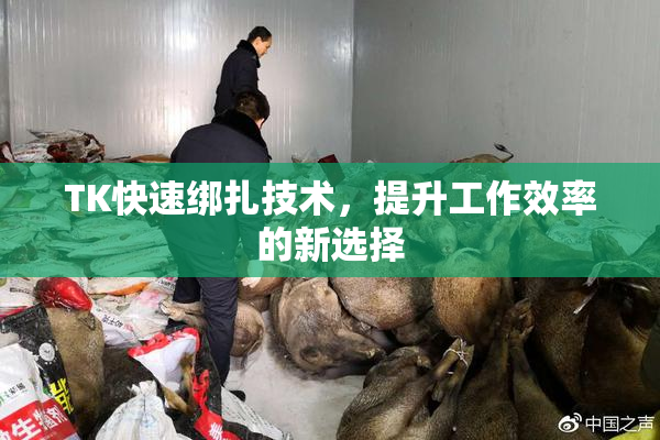TK快速绑扎技术，提升工作效率的新选择