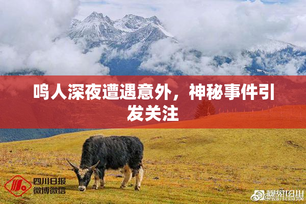 鸣人深夜遭遇意外，神秘事件引发关注